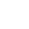 Ikonica - Električna gitara